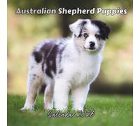 Australian Shepherd Puppies Calendar 2026: Organizer For Home & Office From January to December For Men, Women