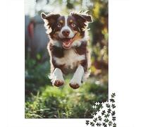 AUSTRALIAN SHEPHERD Puzzle Difficult Challenge 100 Percent Recycled Cardboard Jigsaw Puzzle for Kids And Adults Age 12 Years Up 1000pcs (75x50cm)