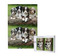 Australian Shepherd Small Puppies Quartet,1000 Pieces Adults Puzzle Game Challenging Puzzles,Jigsaw Puzzles