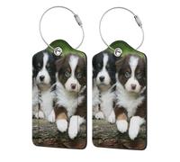 Australian Shepherd Small Puppies Quartet,Luggage Tags Pu Leather Name Tag Travel Suitcase Identifier ID Tags Durable Luggage Label 2 pcs
