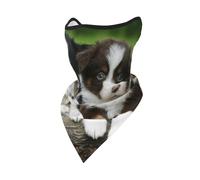 Australian Shepherd Small Puppies Quartet Windproof Mask,Neck Gaiter Winter Motorcycle Face Cover