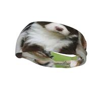 Australian Shepherd Small Puppies QuartetHair Bands for Men Woman Headband Running Headband Sweat Wicking Gym