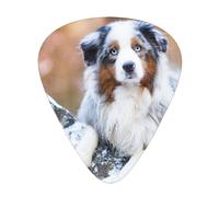 Australian Shepherd Snow Winter Beautiful Dogs,12 Pcs Guitar Pick,3 Different Thickness Plectrums for Acoustic Guitar Bass Ukulele (0.46mm 0.96mm 0.71mm)