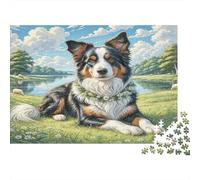 Australian Shepherd Thick Paper Australian Shepherd by Lake in Grassy Field Jigsaw Puzzle Bundle Family Activity 38x26cm/1000pcs