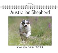 Australian Shepherd: (Wandkalender 2027, Kalender DIN A4 quer, Monatskalender im Querformat mit Kalendarium, das perfekte Geschenk)