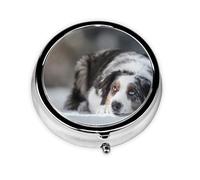 Australian Shepherd Winter Snow White Gray DogsMeta Pill Box 3 Compartment Medicine Case,Portable Organizer