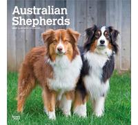 Australian Shepherds 2027 12 X 24 Inch (Hanging) Monthly Square Wall Calendar Plastic-Free: Original BrownTrout-Kalender [Mehrsprachig] [Kalender]