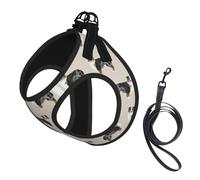 Australian Shepherds Cute,Pet Harness,Adjustable Reflective Dog Harness,Pet Leash Vest,L