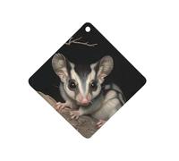 Australian Sugar Glider Car Air Freshener Decorative Hanging Aromatherapy Tablets for Car Trucks Rhombus