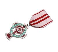 Austria Hungarian Red Cross Brooch Pin Decorative Badge Shirt Backpack Decor Patriotic Jeweler Austrian Hungarian Red Cross
