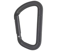 AustriAlpin - Accessory Aluminium Snap Hook - Gear carabiner size One Size, grey