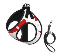 Austrian Flag Map Print Dog Harness Small Sized And Leash Set, Step In Soft Light Puppy Vest Breathable Mesh Pet Harness