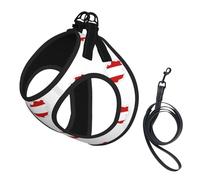 Austrian Flag Map Print Soft Mesh Dog Harness and Leash Set Pet Puppy Cat Comfort Padded Vest No Pull Harnesses