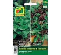 AUSTROSAAT Basil- "Siam Queen" & "Cinamonette" - 1 Pkg