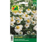 AUSTROSAAT Chamomile - 1 Pkg