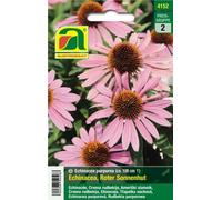 AUSTROSAAT Echinacea "Red Coneflower" - 1 Pkg
