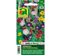 AUSTROSAAT Mixture of Climbers - 1 Pkg
