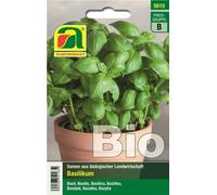 AUSTROSAAT Organic Basil- "Hohes Grünes" (High Green) - 1 Pkg