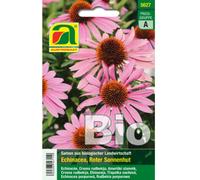 AUSTROSAAT Organic Echinacea, Red Coneflower - 1 Pkg