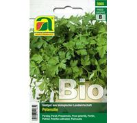 AUSTROSAAT Organic Parsley- "Gigante d'Italia" - 1 Pkg