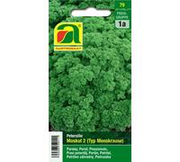 AUSTROSAAT Parsley- "Moss Curled 2" - 1 Pkg