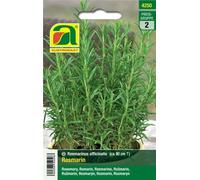 AUSTROSAAT Rosemary - 1 Pkg