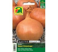 AUSTROSAAT Viennese Bronze Ball Onions - 1 Pkg