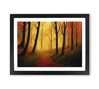 Authentic Autumn Forest Framed Wall Art Print A2 Black