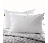 Authentic Choice Hotels’ Luminesse Hypoallergenic Green Label Luxury 2 pcs Soft Pillow, Standard