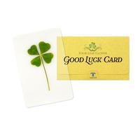 Authentic Four Leaf Clover Keepsake - Laminated Bookmark with Lucky Charm - Perfect for Reading Enthusiasts