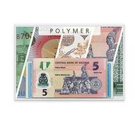 Authentic Genuine Collectable Rare Banknote Polymer Collection