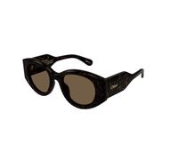 Chloé CH0251S 002 Woman Sunglasses Acetate Havana Brown Round