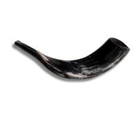 Authentic & Kosher Polished Ram's Horn Shofar from Israel (14" - 16")