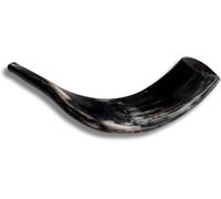 Authentic & Kosher Polished Ram's Horn Shofar from Israel (14" - 16")