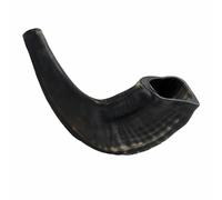 Authentic Natural Ram Horn Shofar from Israel - Traditional Kosher Polished Shofar for Rosh Hashanah, Yom Kippur, Jewish Prayer & Worship - Musical Instrument (Black)