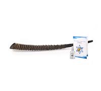 Authentic Oryx/Gemsbok Horn Shofar (Measured Tip to Tip) - Deep & Resonant Sound - Complete Set with Odor Neutralizing Spray & Comprehensive Guide - Unique Judaica Item (20"-24")
