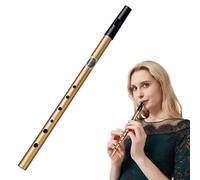 Authentic Penny Whistle, Six-Hole D Tin Whistle - Perfect for Traditional Celtic Music - Black