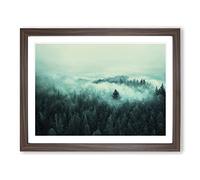 Authentic Pine Tree Forest Framed Wall Art Print A2 Walnut