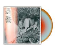 Author & Punisher - Nocturnal Birding [VINYL]