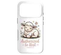 Authorized to Rest Hebrews 4:9 Case for iPhone 17 Pro