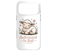 Authorized to Rest Hebrews 4:9 Case for iPhone 17 Pro Max