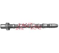 AUTLOG NW5024 Camshaft for AUDI,VW