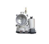 Auto Engine Throttle Body Valve Assembly Compatible for Baic D20 E150