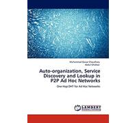 Auto-organization, Service Discovery and Lookup in P2P Ad Hoc Networks: One Hop DHT for Ad Hoc Networks