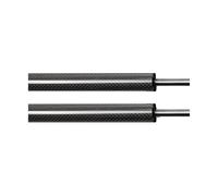 Auto Pop-Up Trunk Struts Coupe 10kg Spoiler Automatic Opening Gas Lift Supports With Springs Boot For Dodge For Challenger 2008-2023 Hydraulic Tailgate Rod