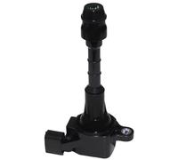 Auto Sports Ignition Coil Compatible With Nissan For Elgrand E51 3.5 2002 2003 2004 2005 2006 2007 2008 2009 2010 1/6 Pcs Car Ignition Coil OEM: 22448AL510(1 Piece)