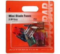 Autobar 254 Assorted Pack of 10 Mini Blade Fuses 2 to 30 Amps Electrical Part Replacement