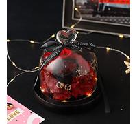 AutoBot Preserved Rose Heart Figurine Gifts for Women Birthday, Forever Flowers in Glass Dome with LED Light, Eternal Rose Decor for Mom Grandma Wife Sister, Unique Mothers Day from Daughter