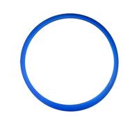 Autoclave Door Gasket Chamber Seal for18L 23L, Sterilizer Replacement Part