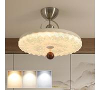 AUTOFigure French Retro Nanyang Style Printed Ceiling Light, 3-Color Dimmable Lamp for Bedroom Master Room Study, Vintage Home Lighting, Milky white-C